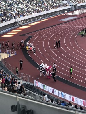 MUFG Stadium by null