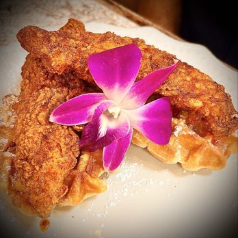 Harvest Kitchen & Bakery - Chicken and Waffles - Breakfast & Brunch Near Me - Katy, Texas Harvest Kitchen & Bakery - Chicken and Waffles - Breakfast & Brunch Near Me - Katy, Texas