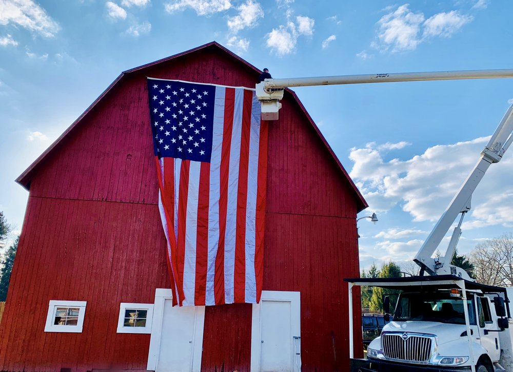 Z’S TREES Updated September 2024 70 Photos & 27 Reviews Ypsilanti