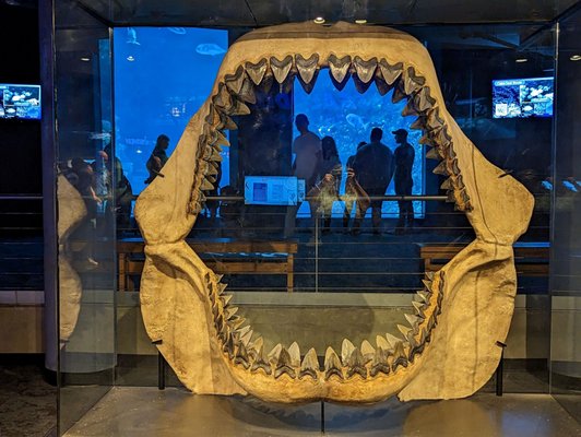 North Carolina Aquarium at Fort Fisher by null