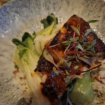 Earls Kitchen + Bar - Seabass - Cocktail Bars Near Me - Plano, Texas