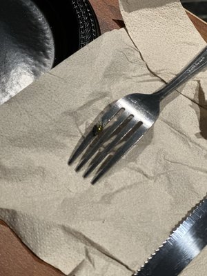 Doc Sullivan's by null