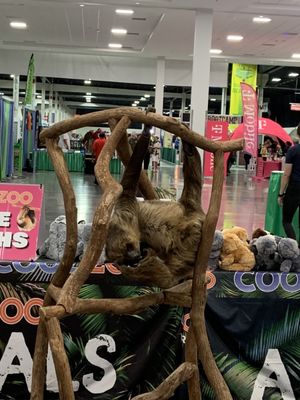 Michigan State Fair by null