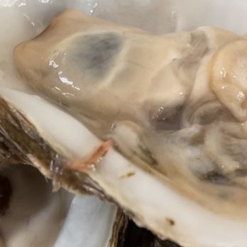 Bahia Fish Market - a close up of a plate of oysters - Seafood Markets Near Me - Maywood, California