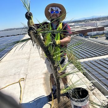 Big Wave Window - Window Washing Near Me - Davis, California