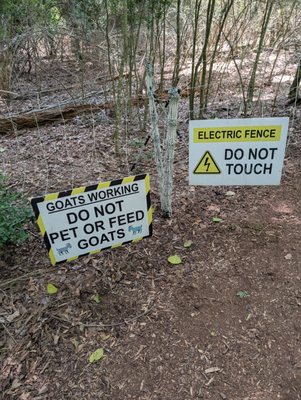 Houston Arboretum & Nature Center by null