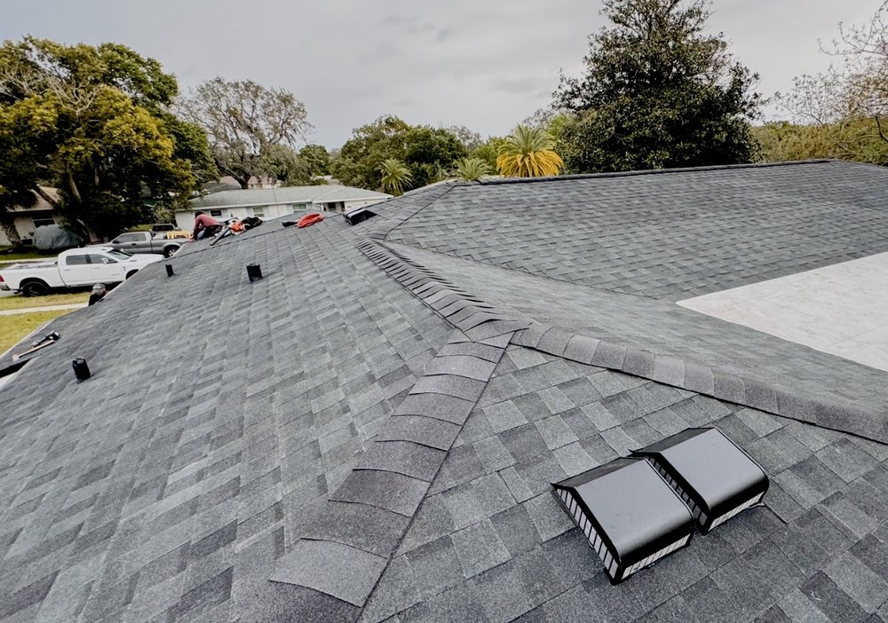 Slide of Mr5 Black Panther roofing