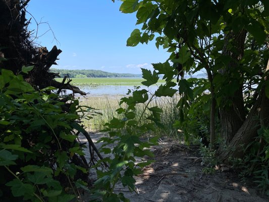 Saugerties Lighthouse by null