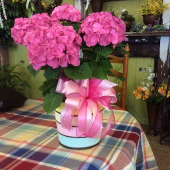 Flower Town - Pretty in Pink - Florists Near Me - Salisbury, North Carolina Flower Town - Pretty in Pink - Florists Near Me - Salisbury, North Carolina