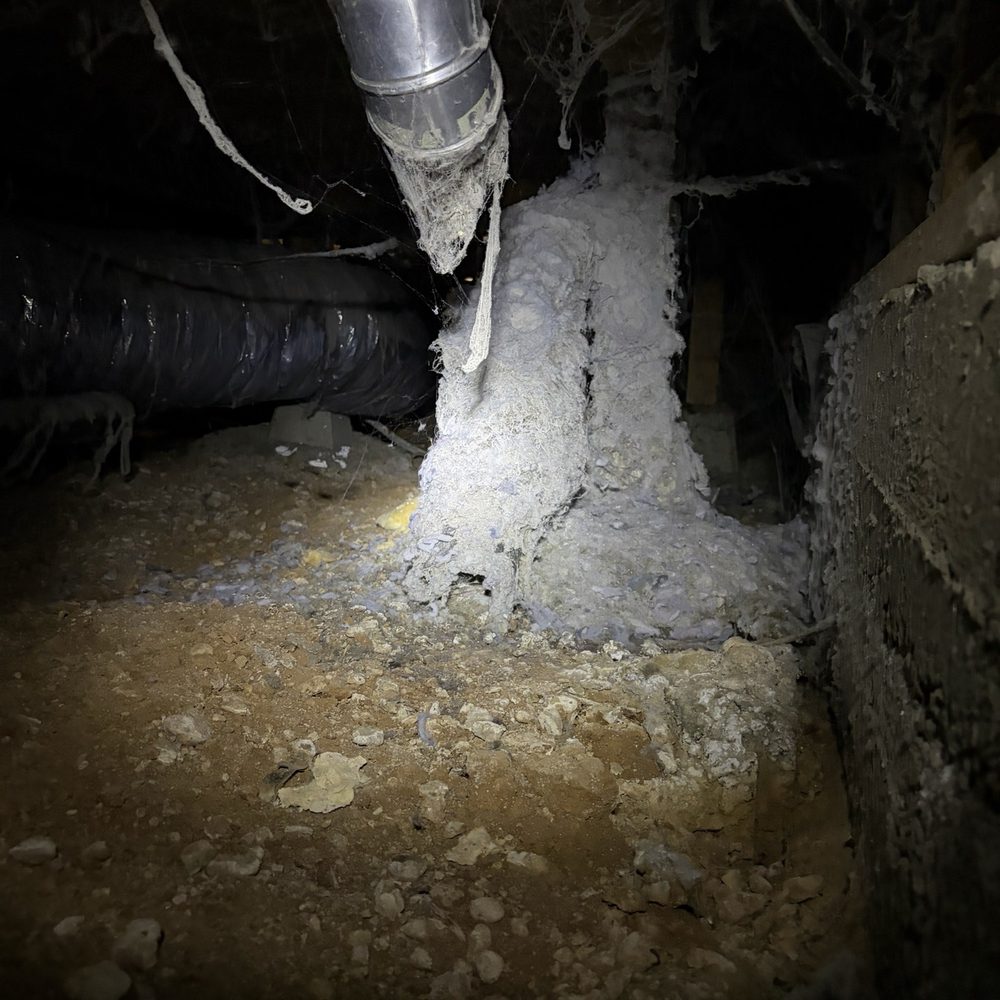 Capital Valley Termite - Detached dryer vent and pile of lint in crawl space - Pest Control Near Me Capital Valley Termite - Detached dryer vent and pile of lint in crawl space - Pest Control Near Me