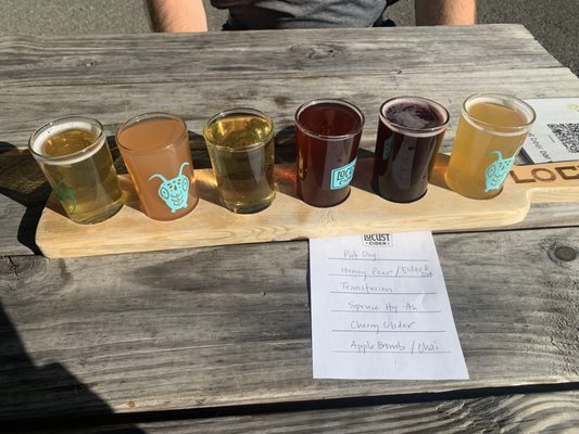 Locust Cider Gig Harbor by null