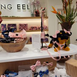 Fighting Eel - Items for your fur baby !