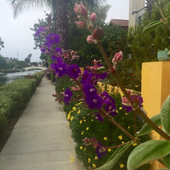 Venice Canals - Landmarks & Historical Buildings Near Me - Venice, California