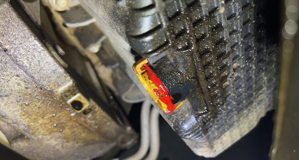 JIFFY LUBE Updated September 2024 17 Photos & 133 Reviews 1621 N