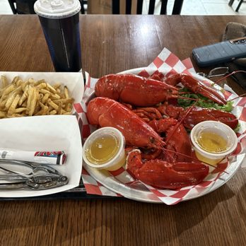 Lobster Cooker - Lobsters - Seafood Near Me - Freeport, Maine