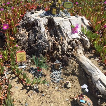 Aliso Summit Trail - Fairies salon! - Hiking Near Me - Laguna Niguel, California
