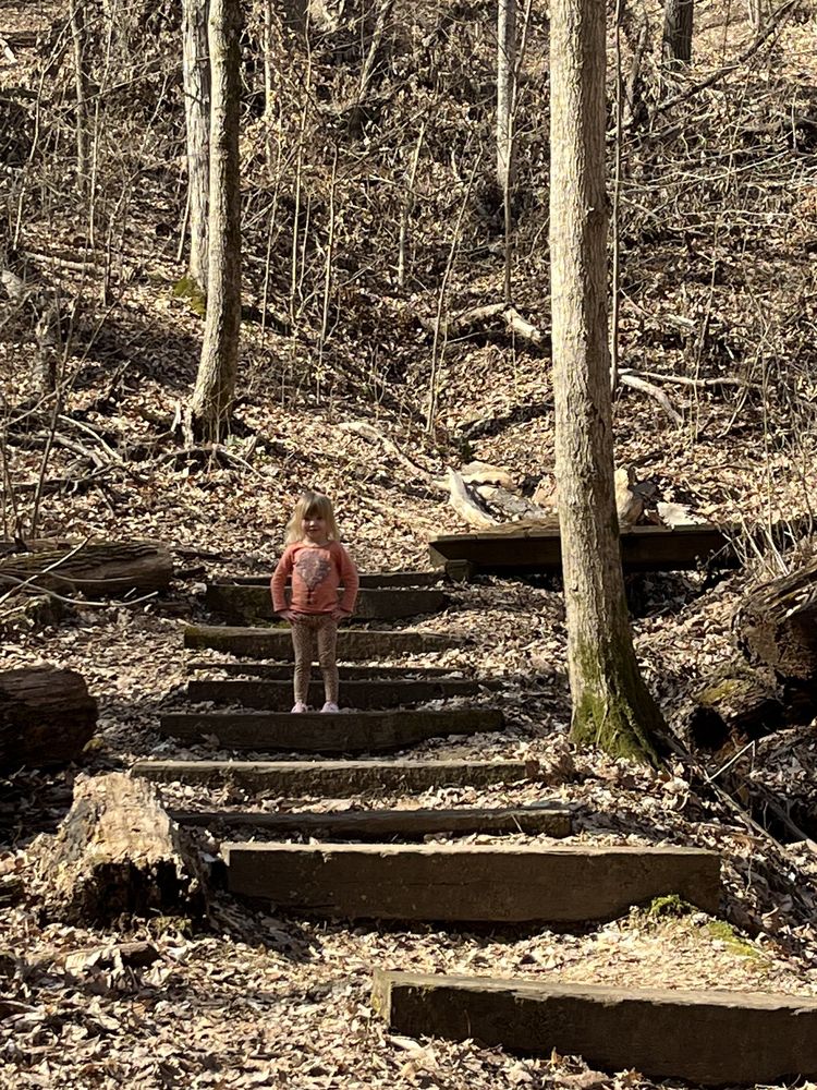 TULIP TREE TRAIL Updated August 2024 31 Photos 11311 Mitchell