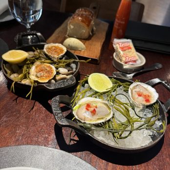 Bludorn - Oysters - New American Near Me - Houston, Texas