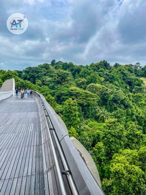 Henderson Waves by null