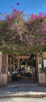 La Brasa de Ibiza by null