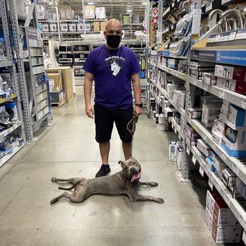 K9 Vision - A Miracle is in this photo. - Pet Training Near Me K9 Vision - A Miracle is in this photo. - Pet Training Near Me