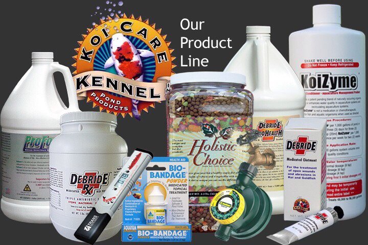 Koi Care Kennel - koi in South Jordan, UT