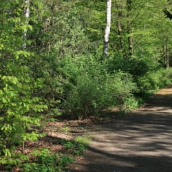 Alte Wöhr
