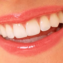 Stevinson D Scott, DDS