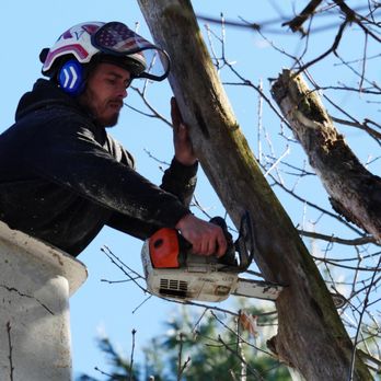 Brooke Tree Service - Tree Services Near Me - Holliston, Massachusetts Brooke Tree Service - Tree Services Near Me - Holliston, Massachusetts