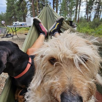 Union Creek Campground - Lazing away in a hammock. - Campgrounds Near Me - Baker City, Oregon