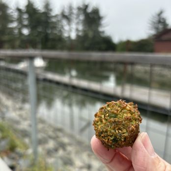 Falafelove - The best falafel ever! - Falafel Near Me - Eureka, California