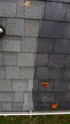Superior Roof Cleaning