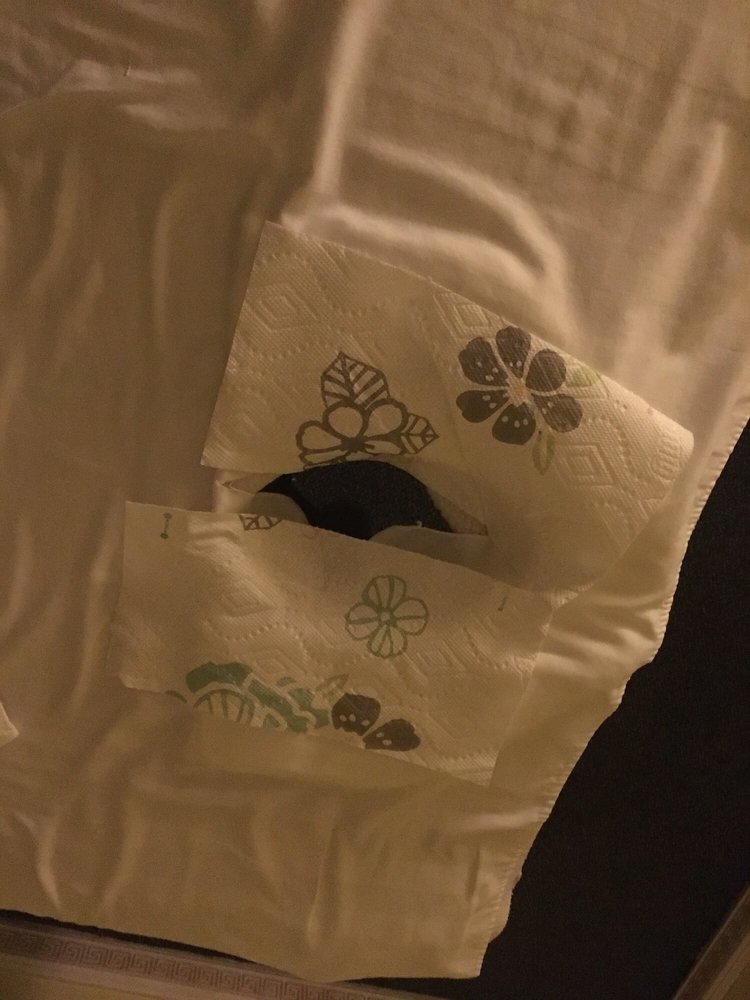 ASIA MASSAGE REFLEXOLOGY Updated September 2024 28 Reviews 834 N