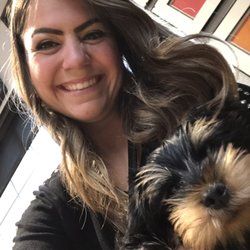 cats and dogs vet long beach