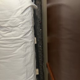Bed bugs and garbage