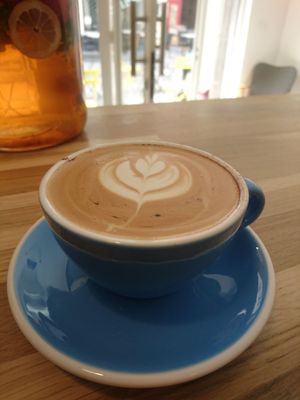 Tulipe by null