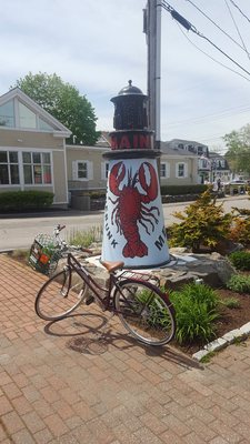 Coastal Maine Hike and Bike by null