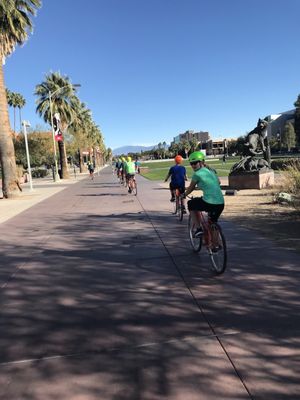 Tucson Bike Tours by null