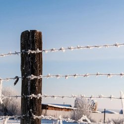 Albuquerque Fence Company