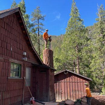 Sindelar Tree Service - Tree Services Near Me Sindelar Tree Service - Tree Services Near Me