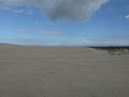 Råbjerg Mile by null