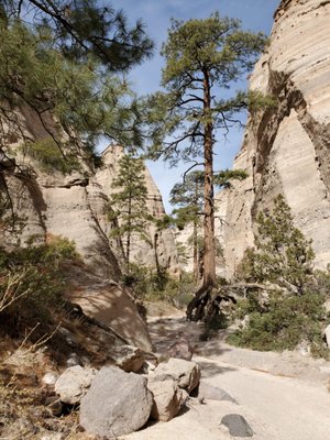 Kasha-Katuwe Tent Rocks National Monument by null