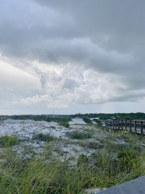 Grayton Beach State Park by null