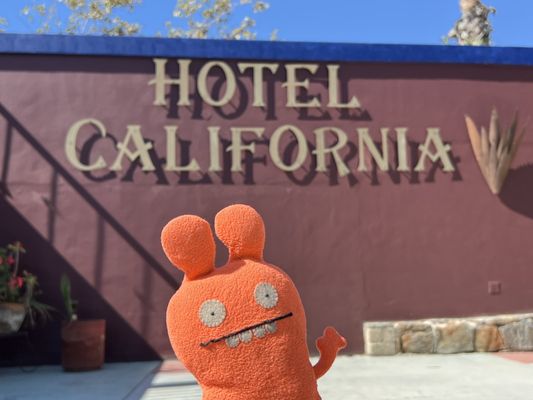 Hotel California by null
