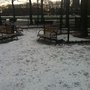 Photo of Williamsbridge Oval Park Dog Run