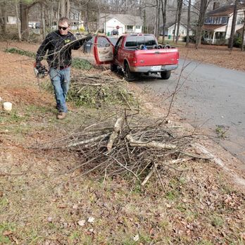 United Tree Company - Worker - Tree Services Near Me United Tree Company - Worker - Tree Services Near Me