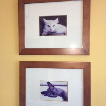 Circle C Animal Hospital - Veterinarians Near Me - Austin, Texas Circle C Animal Hospital - Veterinarians Near Me - Austin, Texas
