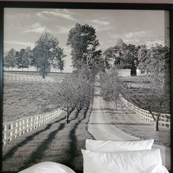 Super 8 by Wyndham Carrollton - Another beautiful photo