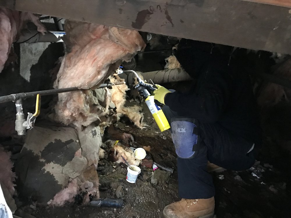 Slide of Anthony's Any Sewer Any Drain