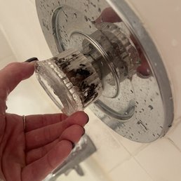 Mold on the inside of the shower handle Mold on the inside of the shower handle